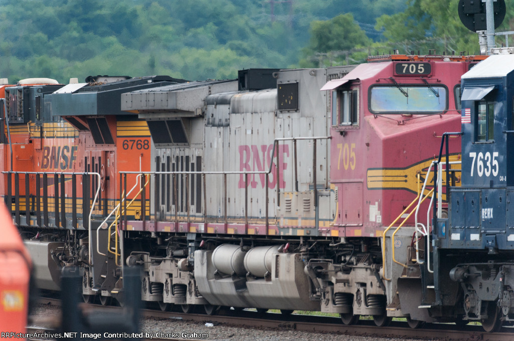 The Chief in the deerfield yard.